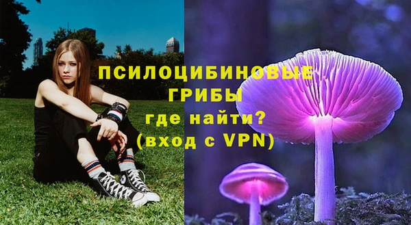 прущие грибы Арсеньев