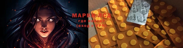 герыч Аркадак