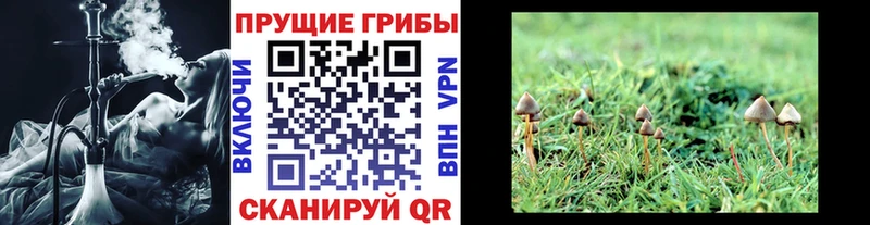 Псилоцибиновые грибы мухоморы  Мышкин 