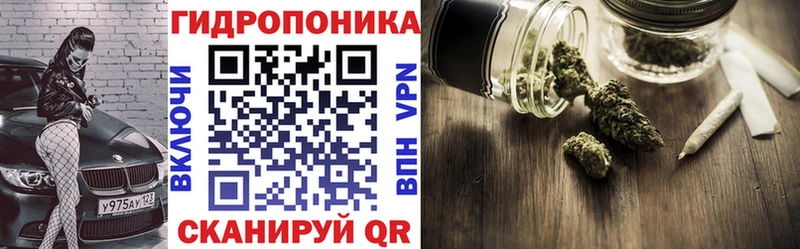 Шишки марихуана конопля  Мышкин 